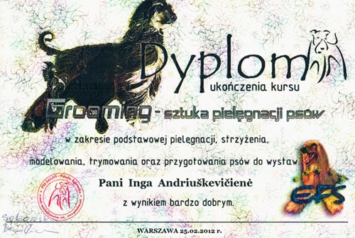 Profesionalių kirpimo kursų baigimo sertifikatas